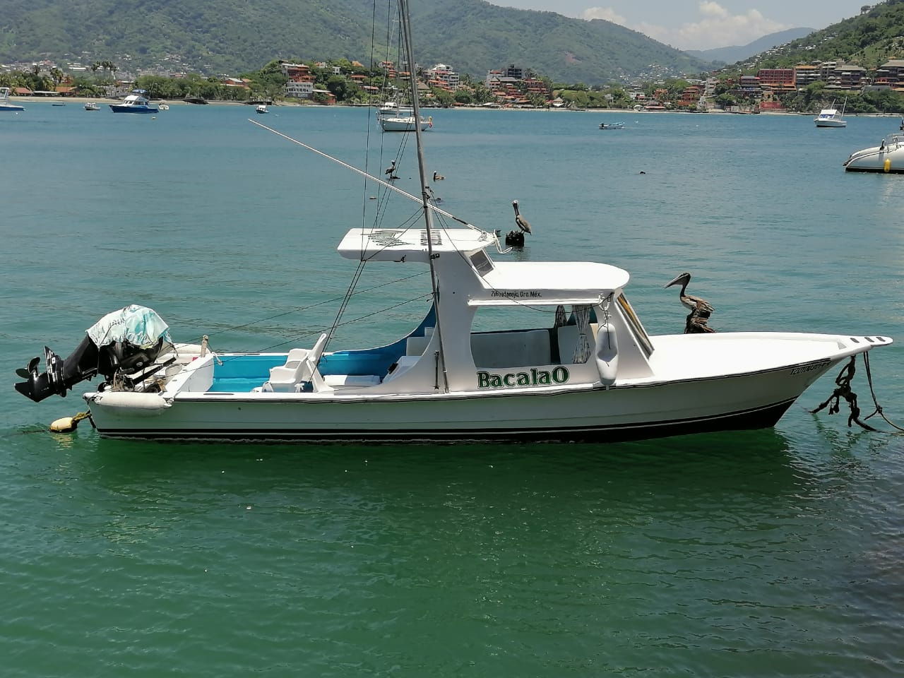 Lancha de pesca recreativa